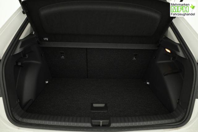 Skoda Fabia Selection 1.0 TSI Selection, Ladeboden, Park, Winterpaket, SmartLink, 4-J Garantie 