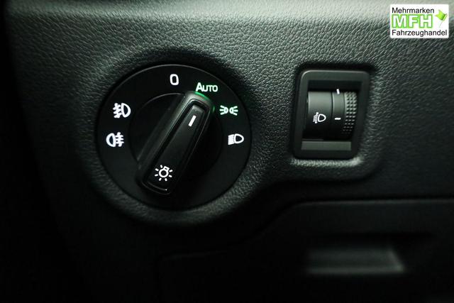 Skoda Fabia Selection 1.0 TSI 130 Jahre, LED, Kamera, Winter, Sunset, 15-Zoll 