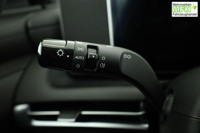 Hyundai TUCSON Plug-In Hybrid 4WD 1.6 T-GDI PHEV 4WD, Navi, Kamera, Side, Winter 