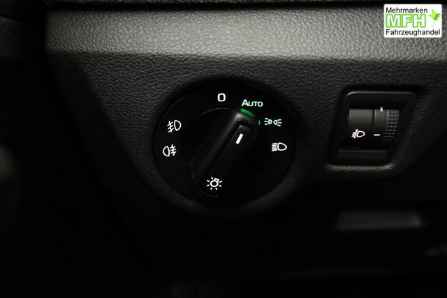 Skoda Kamiq Selection 1.0 TSI Selection, AHK, LED, Kamera, Ladeboden, Winter 