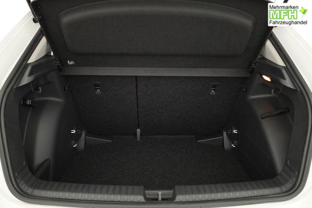 Skoda Fabia Selection 1.0 TSI Selection, Park, Winterpaket, SmartLink, 4 J.-Garantie 