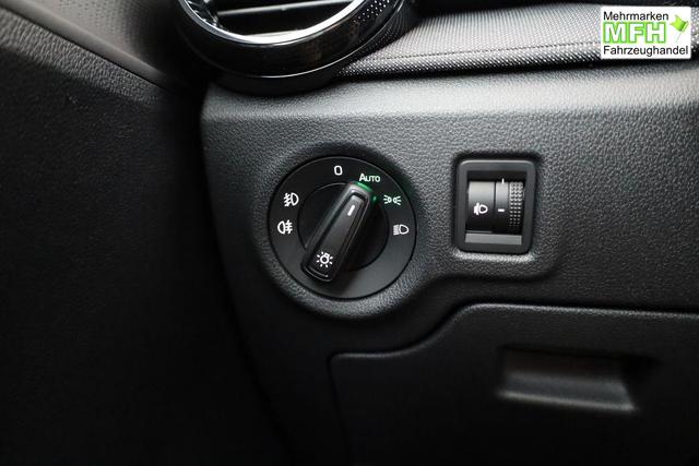 Skoda Fabia Selection 1.0 TSI Selection, Park, Winterpaket, SmartLink, 4 J.-Garantie 