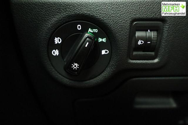 Skoda Fabia Selection 1.0 TSI Selection, Ladeboden, Park, Winterpaket, SmartLink, 4 J.-Garantie 