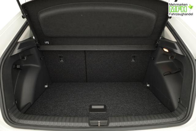 Skoda Fabia Selection 1.0 TSI Selection, Ladeboden, Park, Winterpaket, SmartLink, 4 J.-Garantie 