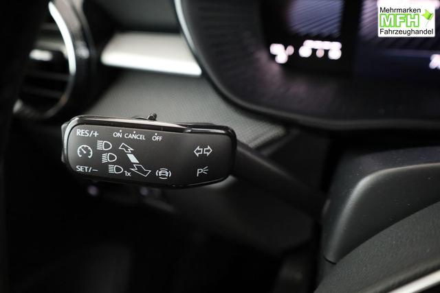 Skoda Fabia Selection 1.0 TSI Selection, Tempomat, Park, Winterpaket, SmartLink, 4 J.-Garantie 