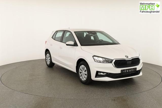 Skoda Fabia Selection 1.0 TSI Selection, Tempomat, Park, Winterpaket, SmartLink, 4 J.-Garantie 