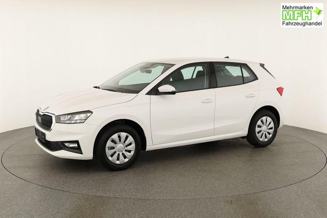 Skoda Fabia Selection 1.0 TSI Selection, Tempomat, Park, Winterpaket, SmartLink, 4 J.-Garantie 
