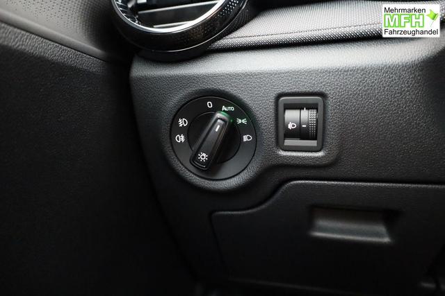Skoda Fabia Selection 1.0 TSI Selection, Park, Winterpaket, SmartLink, 4 J.-Garantie 