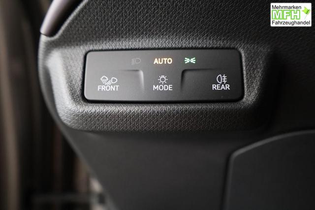 Seat 210 kW Endurance Tavascan Endurance, Navi, W&auml;rmepumpe, Kamera, el. Klappe, 19-Zoll, 3 J.-Garantie 