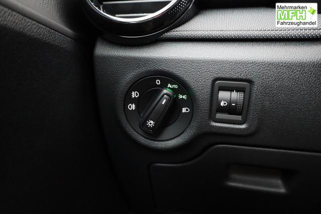 Skoda Fabia Selection 1.0 TSI Selection, LED, Kamera, Winter, 5 J.-Garantie 