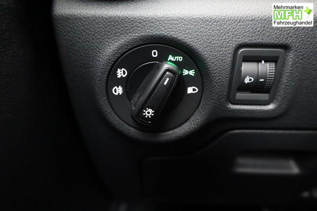 Skoda Fabia Monte Carlo 1.0 TSI DSG Carlo, LED, Kamera, Tempomat, 16-Zoll, sofort 