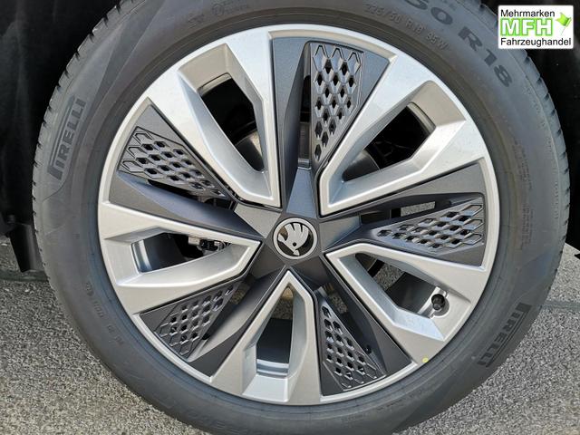 Skoda Karoq Selection 2.0 TDI DSG 4x4 GV5 AHK 18 Ladeb 