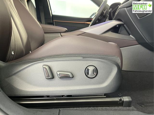 Cupra / Terramar / Grau / / / 4Drive Leder+Pano+AKEBONO+Matrix+AHK+Stdhz+20 Zoll