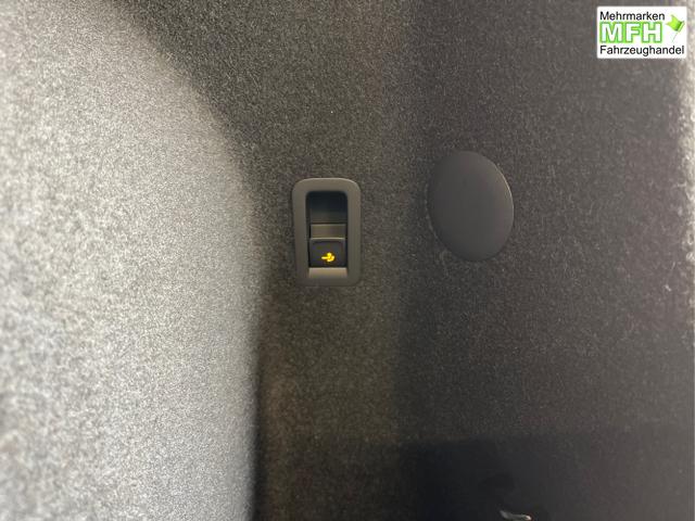 Cupra / Terramar / Grau / / / 4Drive Leder+Pano+AKEBONO+Matrix+AHK+Stdhz+20 Zoll