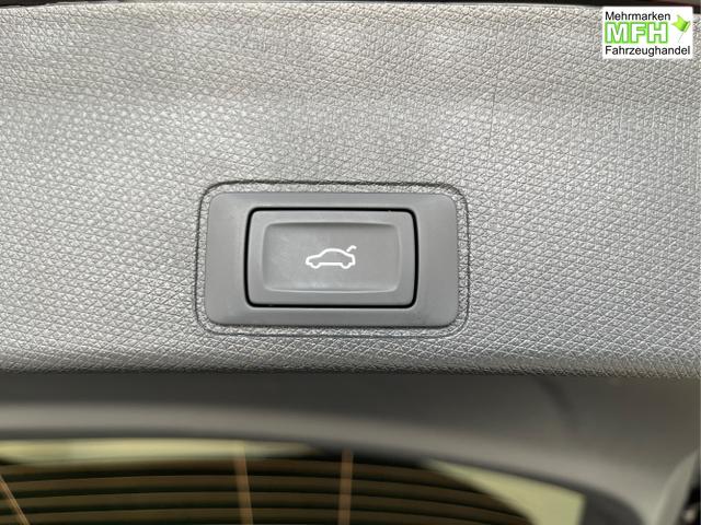 Cupra / Terramar / Grau / / / 4Drive Leder+Pano+AKEBONO+Matrix+AHK+Stdhz+20 Zoll