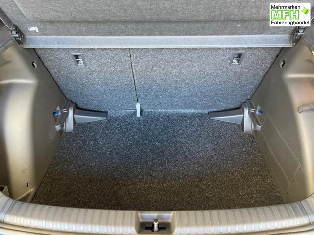 Skoda / Fabia / Blau / / / 115PS App Connect