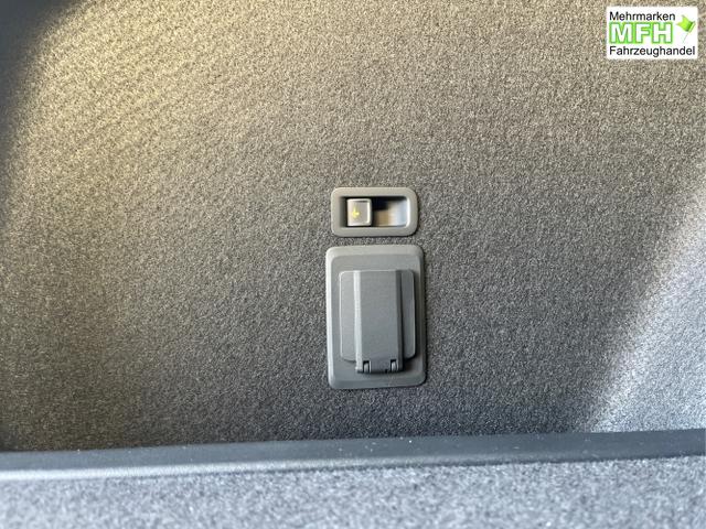 Cupra / Leon Sportstourer / Grau / / / 150PS TDI DSG AHK+Kamera+el. Heckklappe