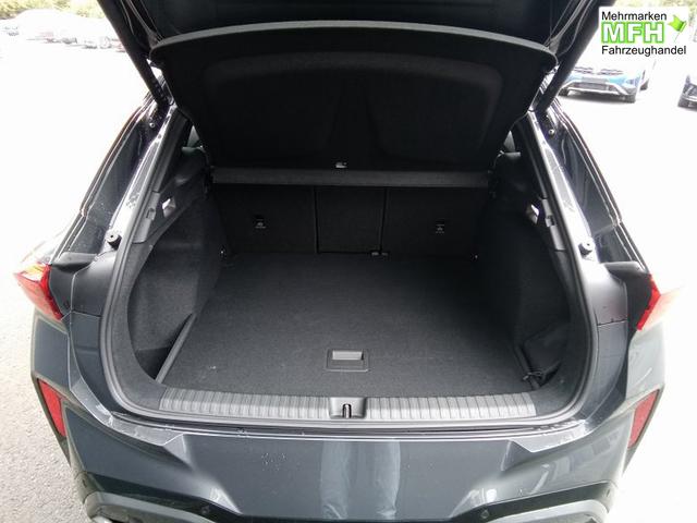 Cupra Terramar VZ 2.0 TSI 7-Gang-DSG 4Drive 