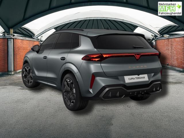 Cupra Terramar VZ 2.0 TSI 7-Gang-DSG 4Drive 