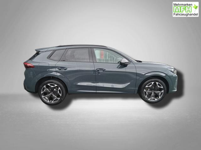 Cupra Terramar VZ 2.0 TSI 7-Gang-DSG 4Drive 