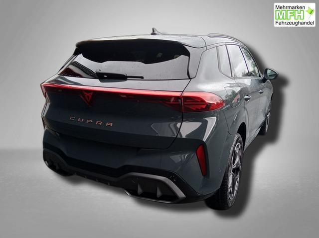 Cupra Terramar VZ 2.0 TSI 7-Gang-DSG 4Drive 