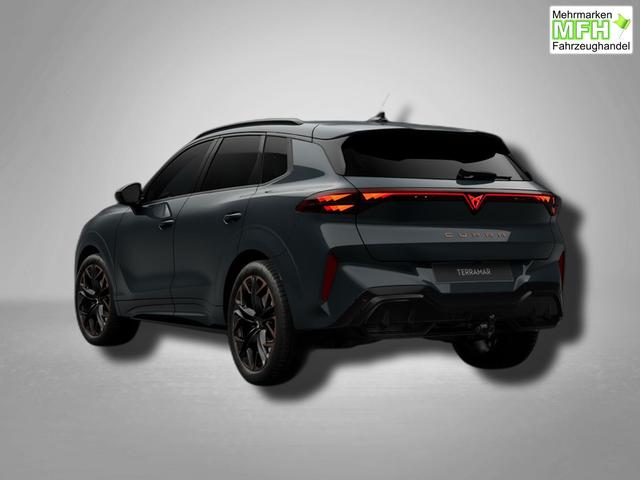 Cupra Terramar VZ 2.0 TSI 7-Gang-DSG 4Drive 