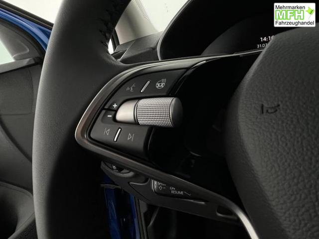 Skoda Fabia Top Selection (Top Selection) 1.0 TSI 85 KW (116 PS) 7-Gang DSG 