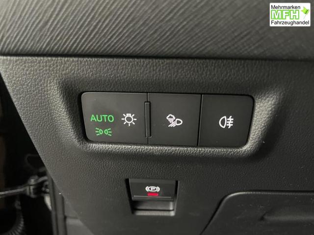 Skoda Kodiaq RS 2.0 TSI 195kW (265 PS) 4x4 7-Gang DSG 