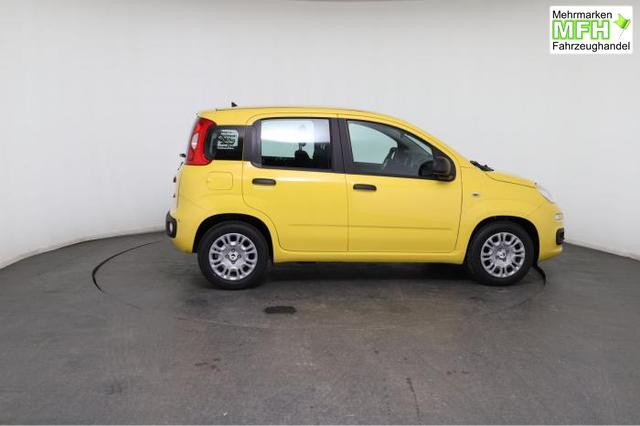Fiat Panda Pandina Pop (Pandina Pop) 1.0 Mild-Hybrid (65PS) 6-Gang Schaltgetriebe 