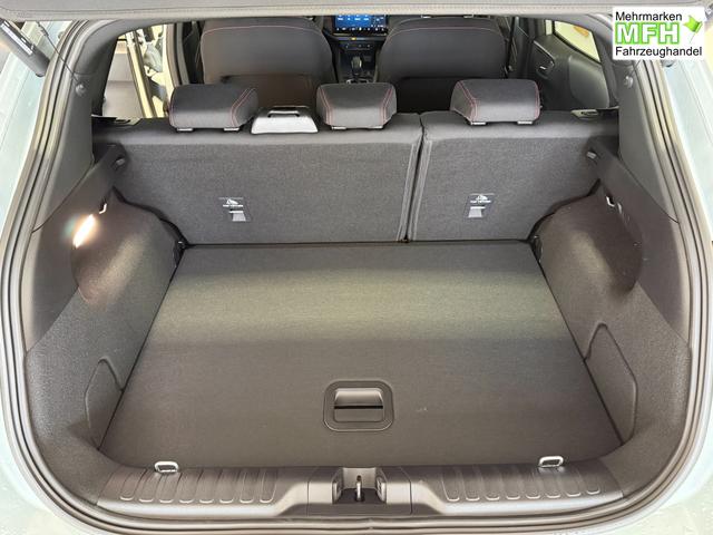 Ford Puma ST-Line Cactus Grau