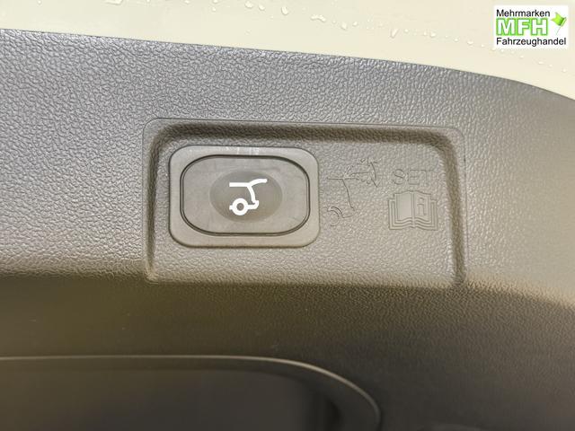 Ford Puma ST-Line Cactus Grau