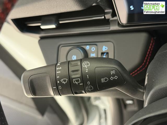 Ford Puma ST-Line Cactus Grau