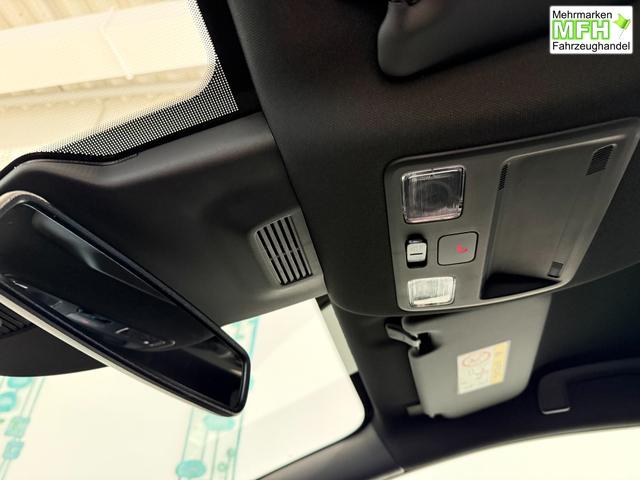 Ford Puma ST-Line Cactus Grau