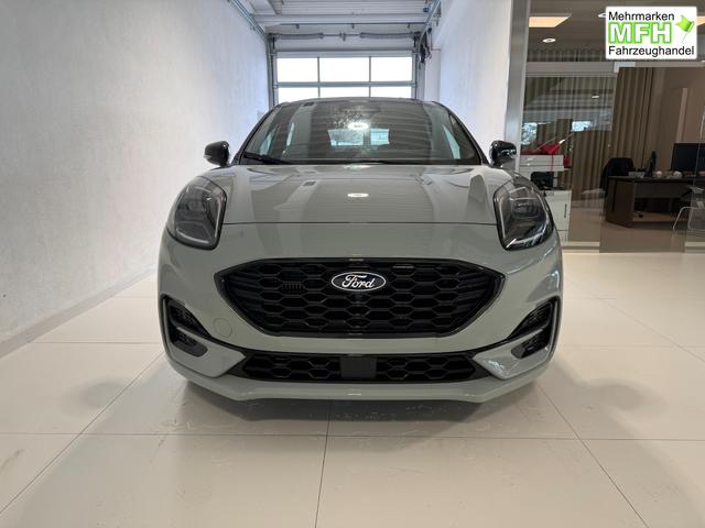 Ford Puma ST-Line Cactus Grau Dach Schwarz
