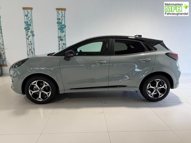 Ford Puma ST-Line Cactus Grau Dach Schwarz
