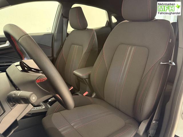 Ford Puma ST-Line Cactus Grau Dach Schwarz