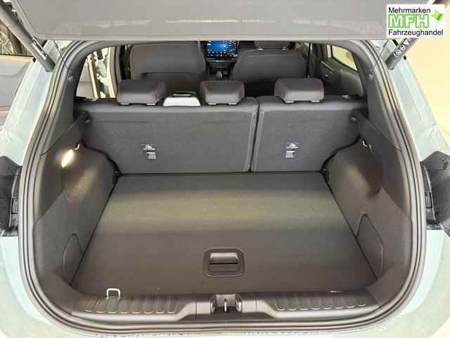 Ford Puma ST-Line Cactus Grau Dach Schwarz