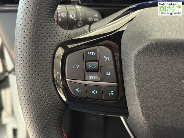 Ford Puma ST-Line Cactus Grau Dach Schwarz