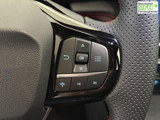 Ford Puma ST-Line Cactus Grau Dach Schwarz