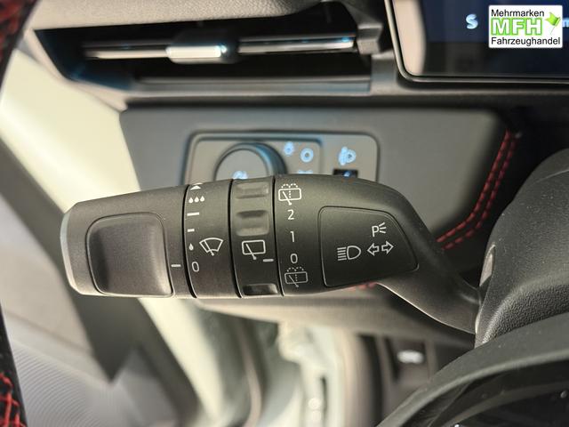 Ford Puma ST-Line Cactus Grau Dach Schwarz