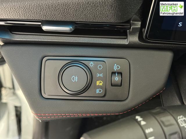 Ford Puma ST-Line Cactus Grau Dach Schwarz