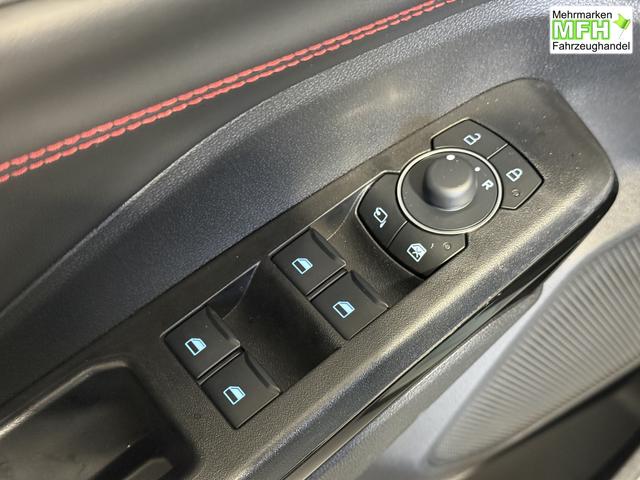 Ford Puma ST-Line Cactus Grau Dach Schwarz