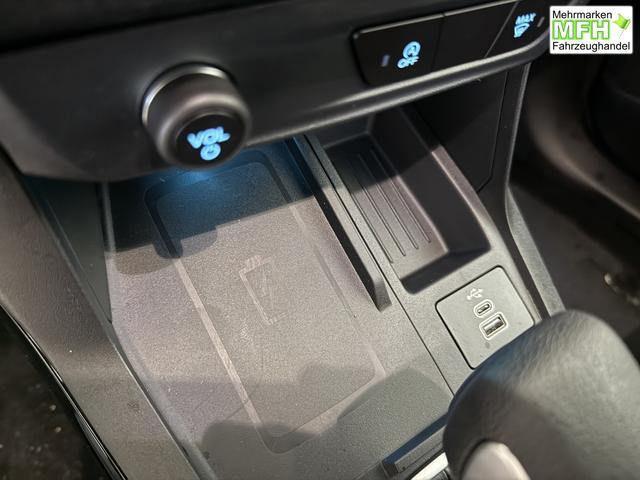 Ford Puma ST-Line Cactus Grau Dach Schwarz