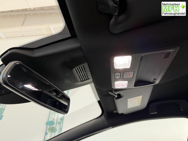 Ford Puma ST-Line Cactus Grau Dach Schwarz