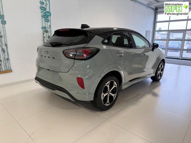 Ford Puma ST-Line Cactus Grau Dach Schwarz