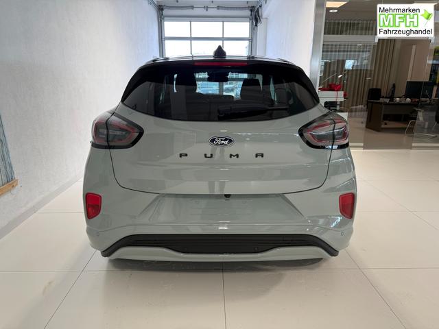 Ford Puma ST-Line Cactus Grau Dach Schwarz
