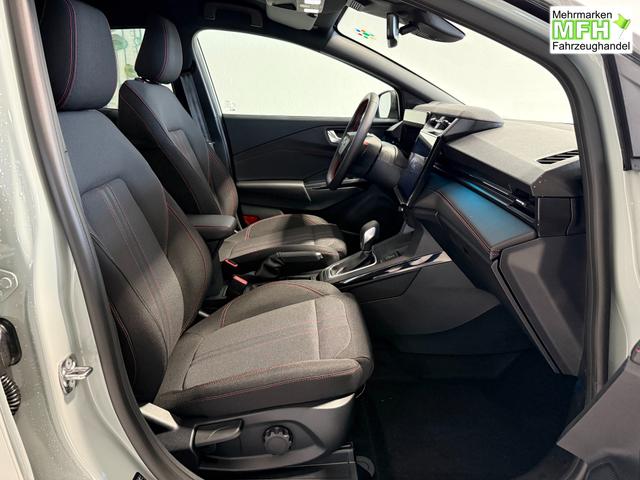 Ford Puma ST-Line Cactus Grau Dach Schwarz