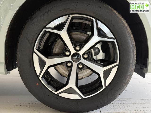 Ford Puma ST-Line Cactus Grau Dach Schwarz