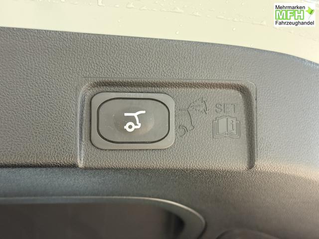 Ford Puma ST-Line Cactus Grau Dach Schwarz