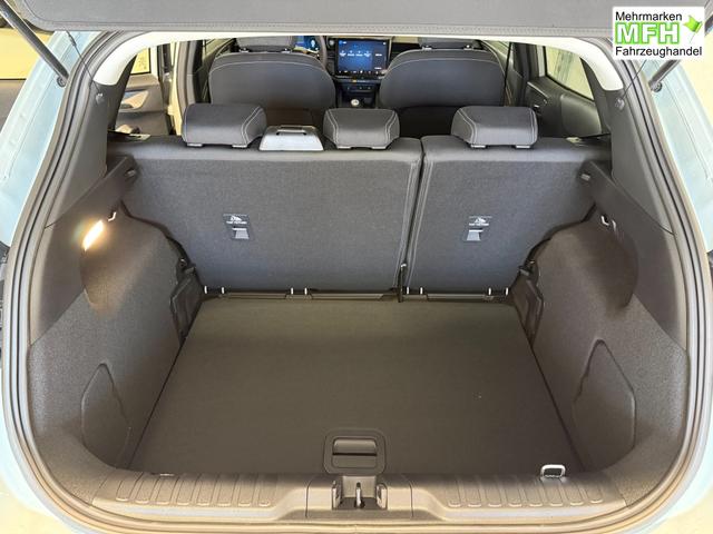 Ford Puma Titanium Cactus Grau